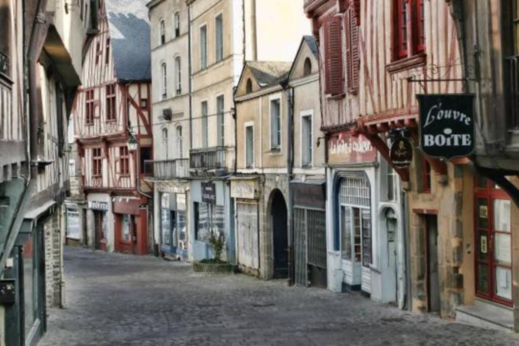 Centre-Ville : Maison De Charme - Secteur Calme Laval  Luaran gambar